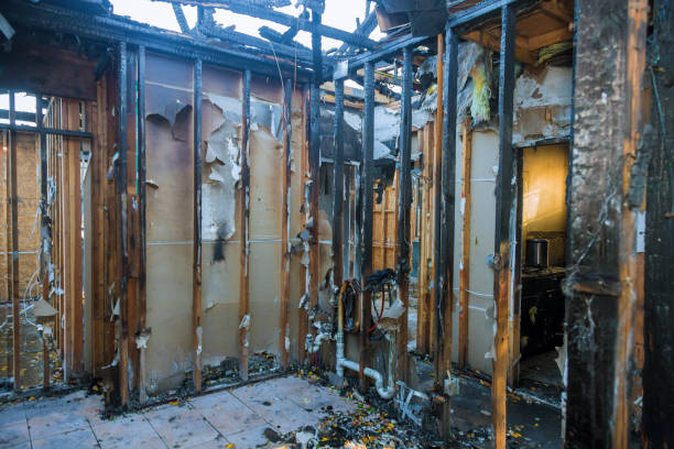 Professional Fire Damage Repair technician working in Uhland, TX